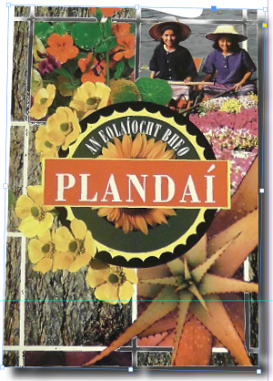 Plandaí